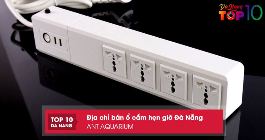 Ant-aquarium-top10danang