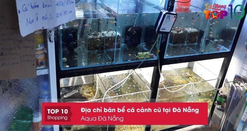 aqua-da-nang-top10danang