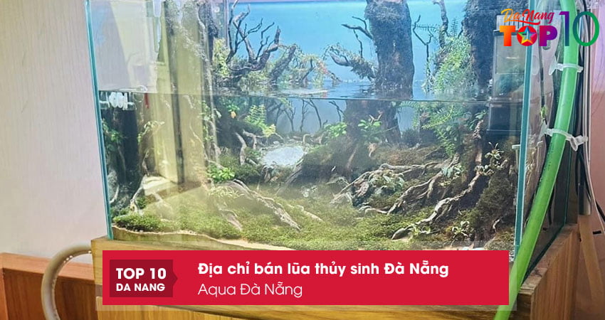 Aqua-da-nang-top10danang
