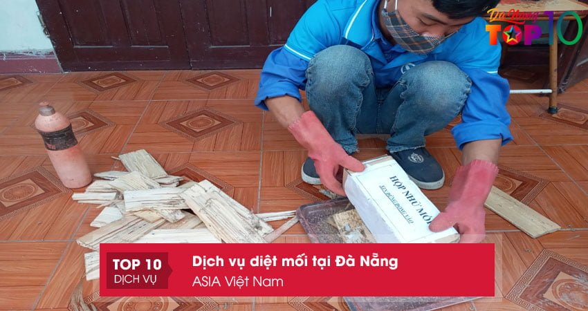asia-viet-nam-chuyen-diet-moi-tai-da-nang-top10danang