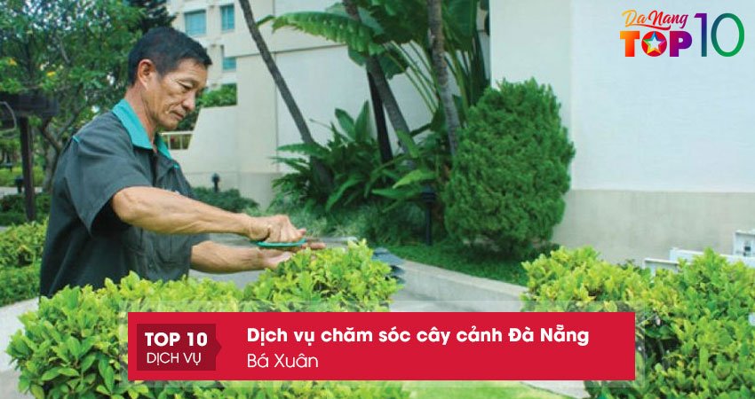 ba-xuan-cham-soc-cay-canh-da-nang-uy-tin-top10danang