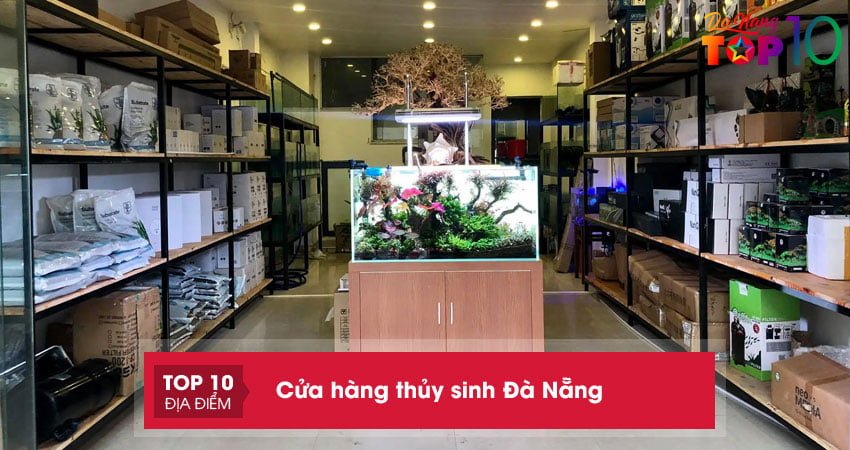 Bạn đã biết 10 cửa hàng thủy sinh Đà Nẵng độc đáo giá rẻ