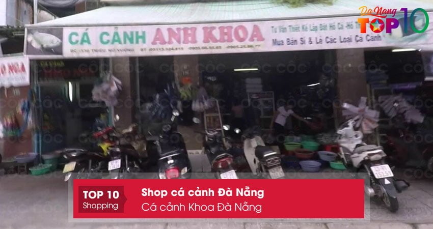 ca-canh-khoa-da-nang-shop-ca-canh-da-nang-gia-tot-top10danang