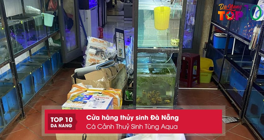 Ca-canh-thuy-sinh-tung-aqua-top10danang