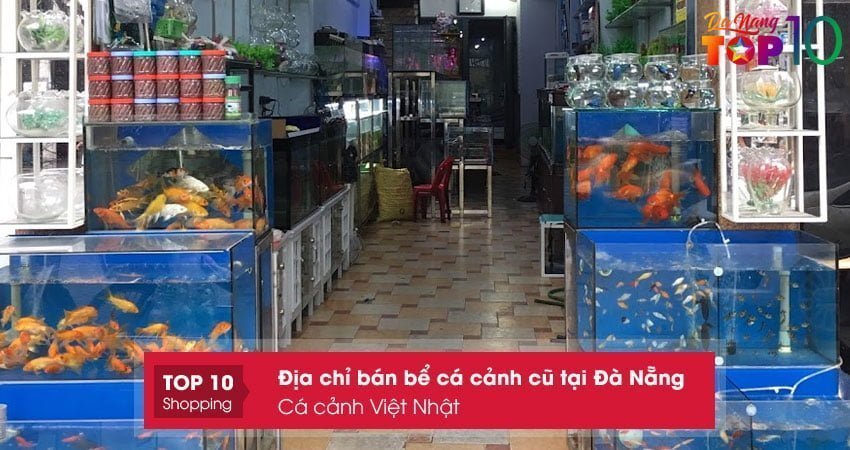 ca-canh-viet-nhat-top10danang