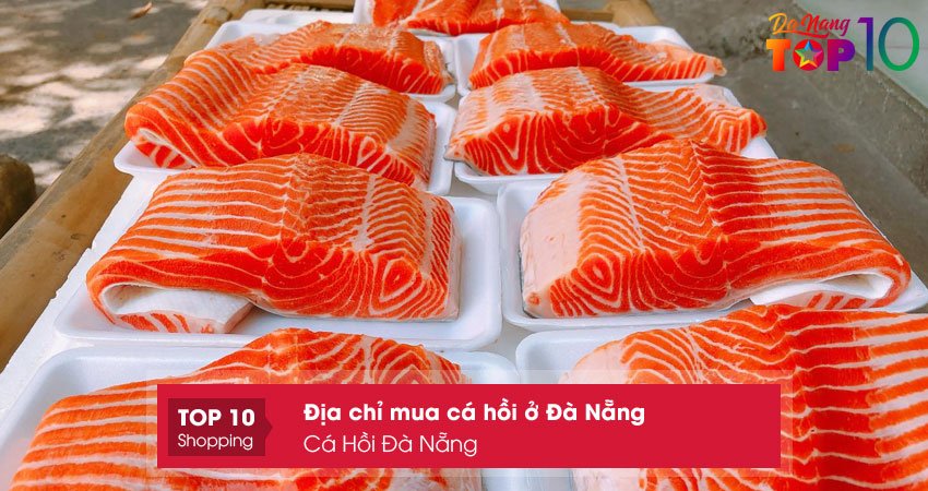 ca-hoi-da-nang-top10danang