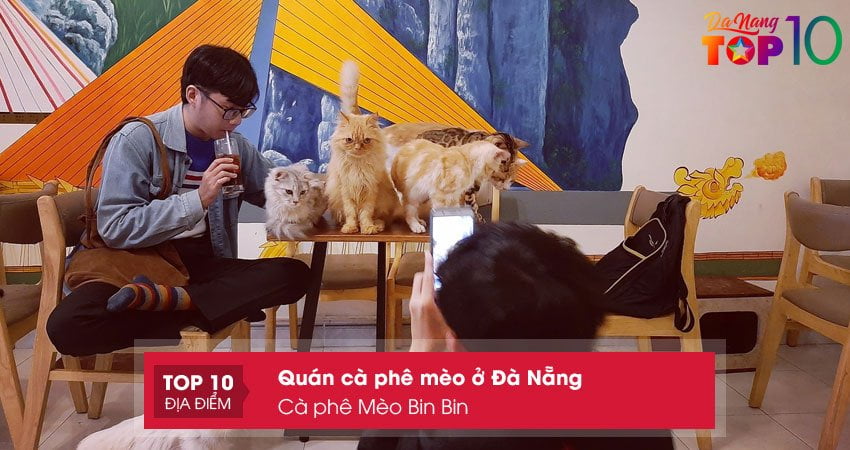 ca-phe-meo-bin-bin-top10danang