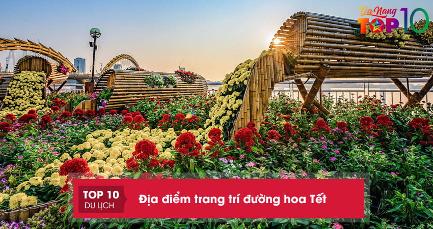 cac-dia-diem-trang-tri-duong-hoa-tet-top10danang