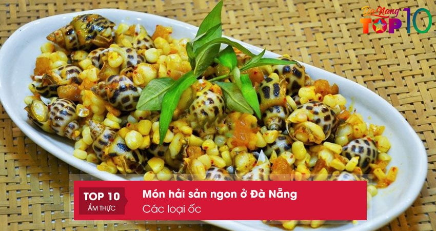 cac-loai-oc-top10danang