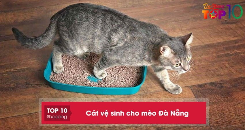 Cát vệ sinh cho mèo Đà Nẵng | 10+ địa chỉ bán giá rẻ