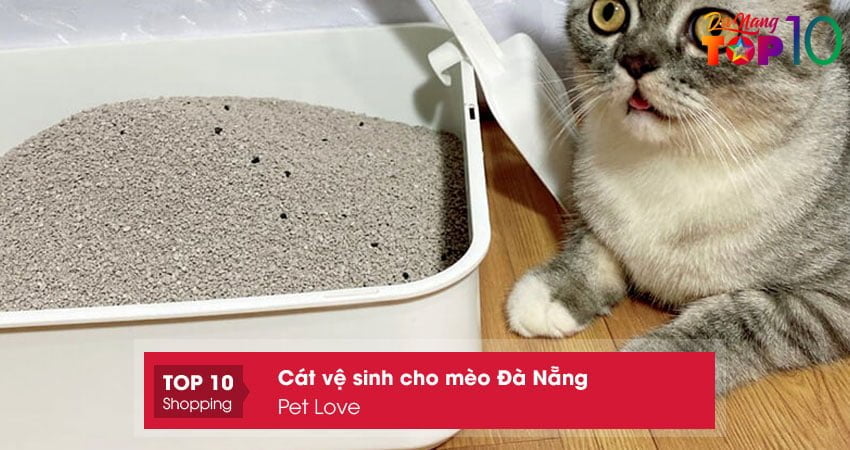 cat-ve-sinh-cho-meo-da-nang-pet-love-top10danang