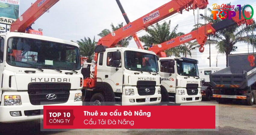 cau-tai-da-nang-don-vi-cho-thue-xe-cau-da-nang-top10danang