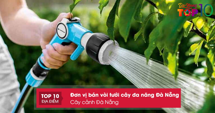 cay-canh-da-nang-voi-tuoi-cay-da-nang-da-nang-chinh-hang-top10danang