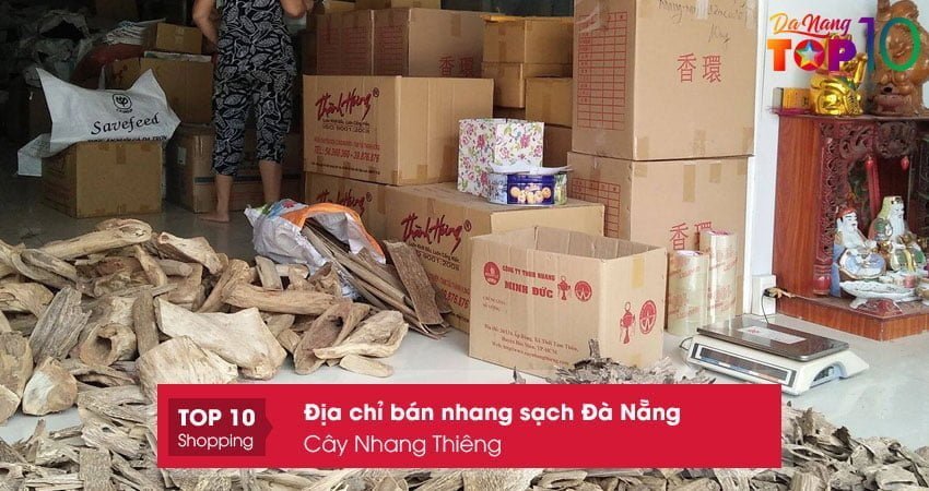 cay-nhang-thieng-top10danang