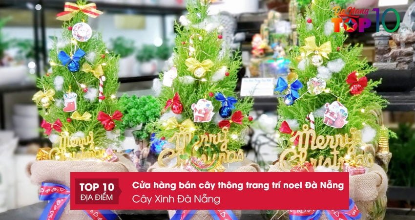 cay-xinh-da-nang-top10danang
