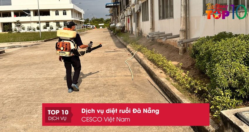 cesco-viet-nam-top10danang