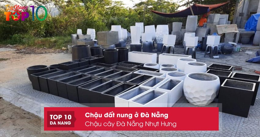 Chau-cay-da-nang-nhut-hung-top10danang