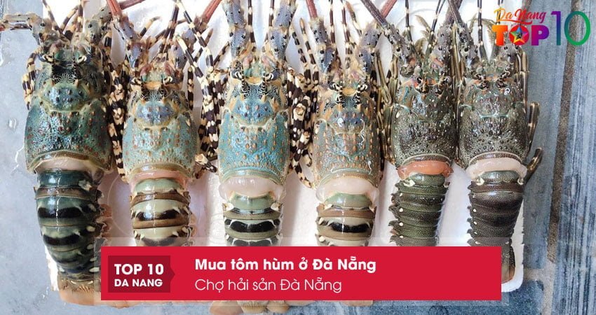 cho-hai-san-da-nang-dia-chi-mua-tom-hum-o-da-nang-chat-luong-top10danang