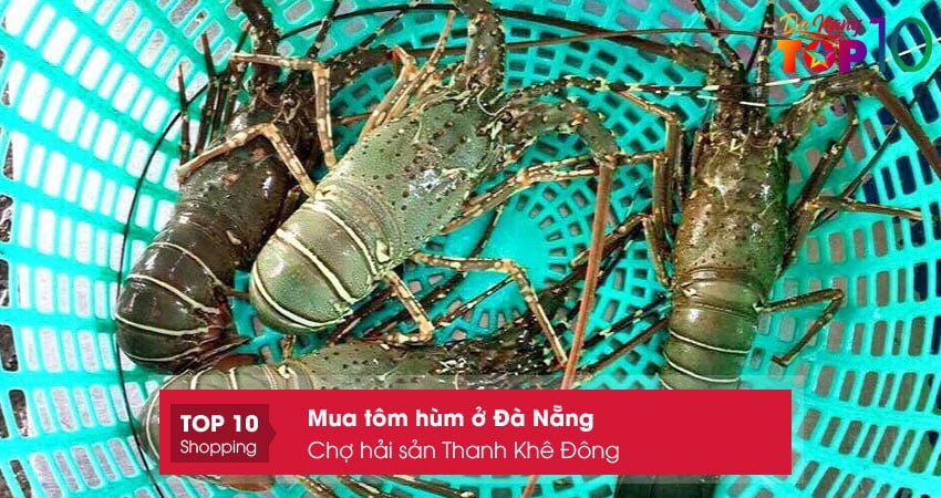 cho-hai-san-thanh-khe-dong-mua-tom-hum-o-da-nang-gia-re-top10danang
