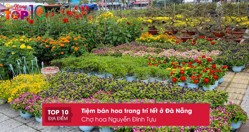 cho-hoa-nguyen-dinh-tuu-top10danang