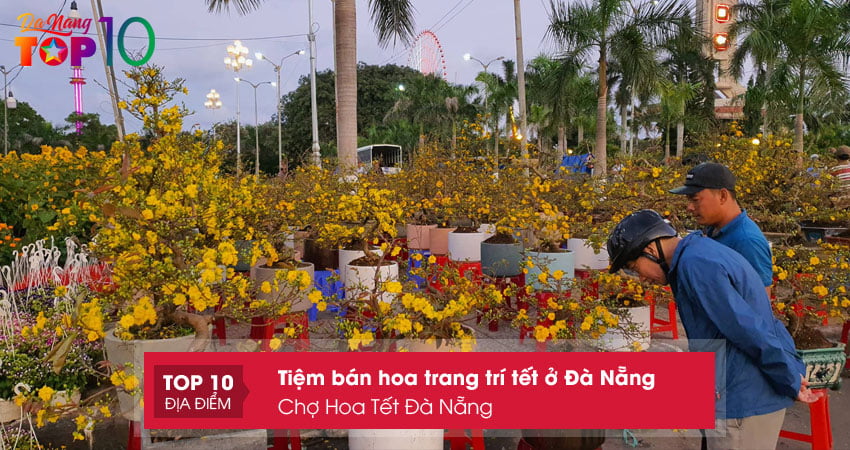 cho-hoa-tet-da-nang-ban-hoa-trang-tri-tet-o-da-nang-gia-re-top10danang