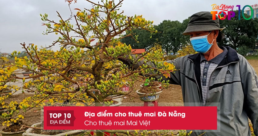 cho-thue-mai-da-nang-mai-viet-top10danang