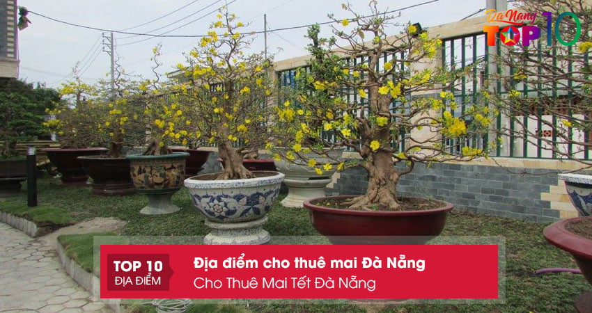 cho-thue-mai-tet-da-nang-top10danang