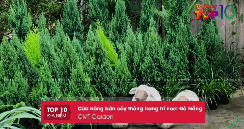 cmt-garden-cua-hang-ban-cay-thong-trang-tri-noel-da-nang-chat-luong-top10danang