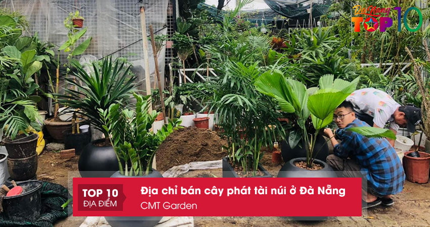 cmt-garden-dia-chi-ban-cay-phat-tai-nui-o-da-nang-top10danang