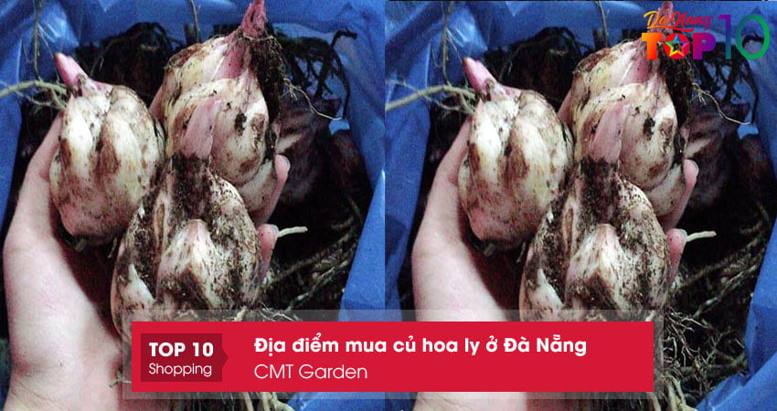 cmt-garden-mua-cu-hoa-ly-o-da-nang-gia-re-top10danang