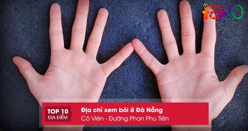 co-vien-duong-phan-phu-tien-top10danang