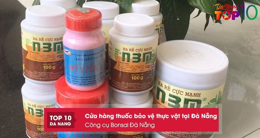 cong-cu-bonsai-da-nang-top10danang