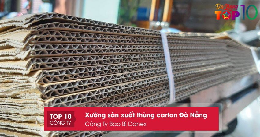 cong-ty-bao-bi-danex1-top10danang