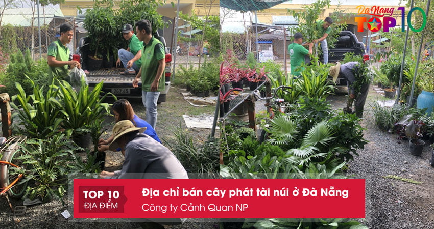 cong-ty-canh-quan-np-top10danang