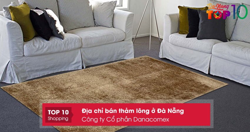 cong-ty-co-phan-danacomex01-top10danang
