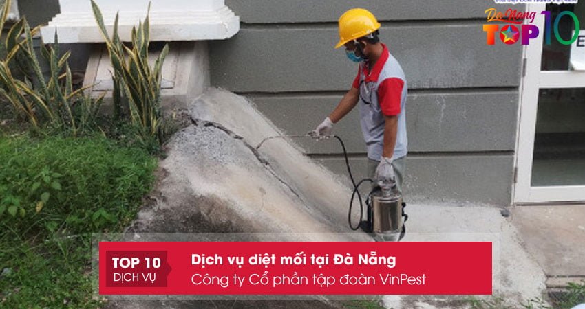 cong-ty-co-phan-tap-doan-vinpest-top10danang