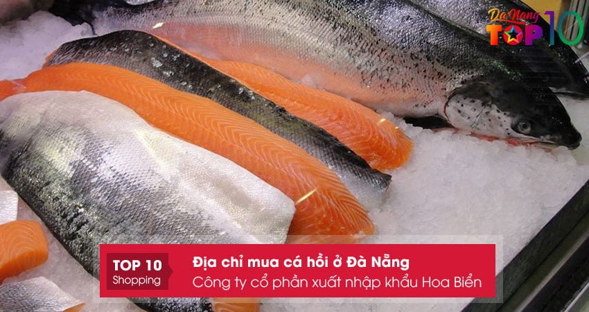 cong-ty-co-phan-xuat-nhap-khau-hoa-bien-top10danang