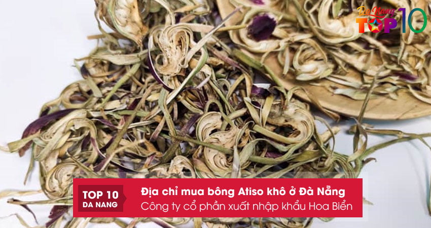 cong-ty-co-phan-xuat-nhap-khau-hoa-bien-top10danang