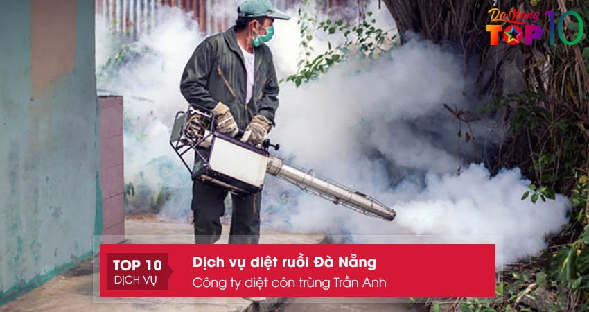 cong-ty-diet-con-trung-tran-anh-dich-vu-diet-ruoi-da-nang-an-toan-top10danang