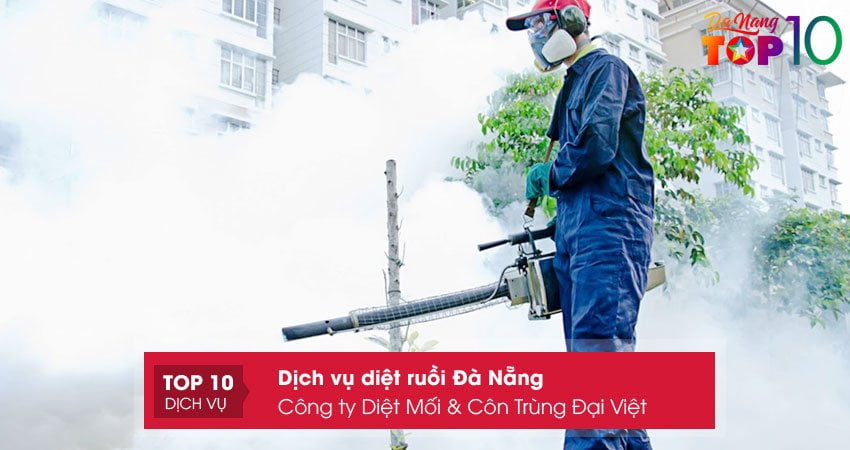 cong-ty-diet-moi-con-trung-dai-viet-top10danang