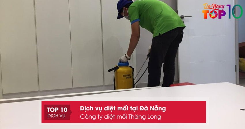 cong-ty-diet-moi-thang-long-top10danang