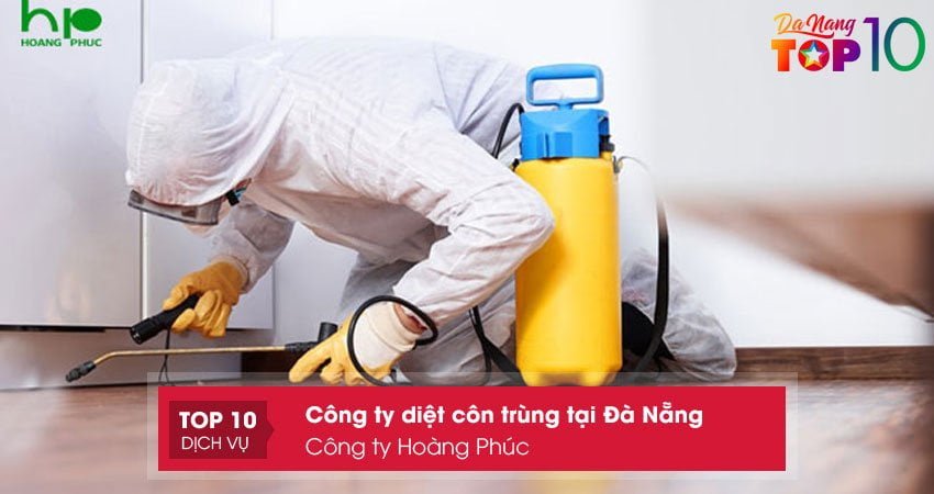 cong-ty-hoang-phuc-top10danang
