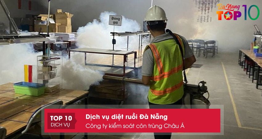 cong-ty-kiem-soat-con-trung-chau-a-top10danang