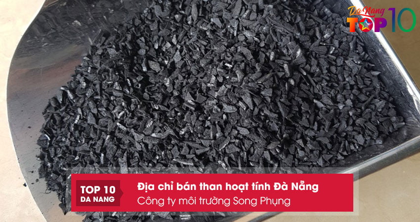 Cong-ty-moi-truong-song-phung-top10danang