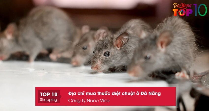 cong-ty-nano-vina-top10danang