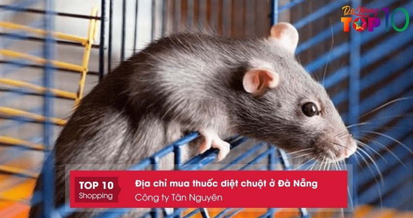 cong-ty-tan-nguyen-top10danang