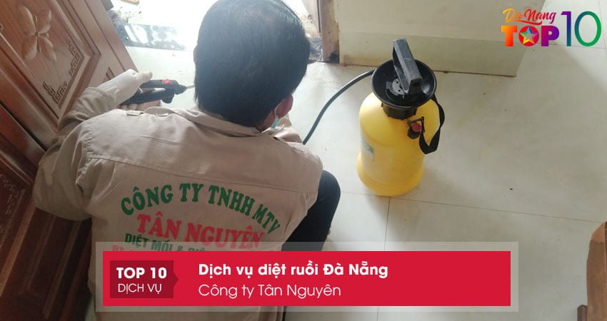 cong-ty-tan-nguyen-top10danang