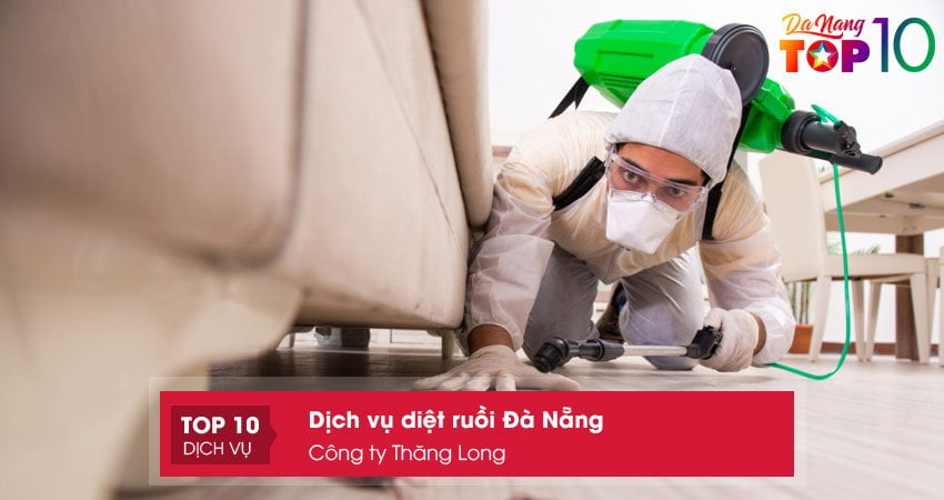 cong-ty-thang-long-dich-vu-diet-ruoi-da-nang-dang-tin-cay-top10danang