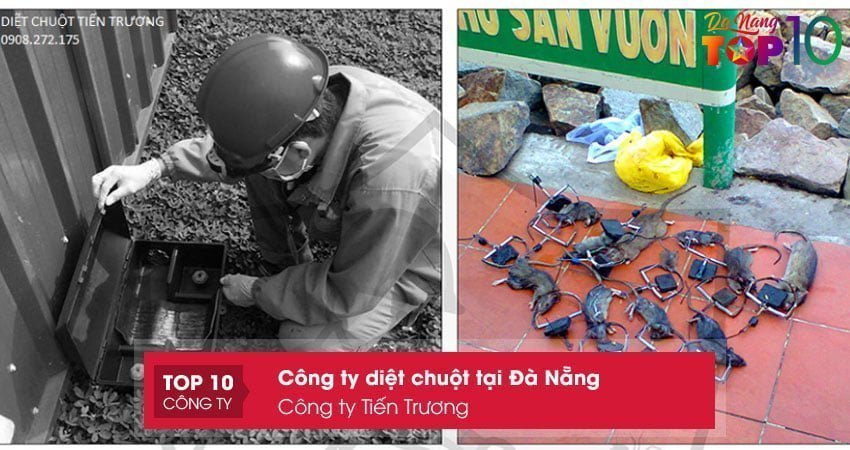 cong-ty-tien-truong-top10danang