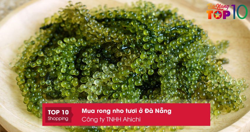 cong-ty-tnhh-ahichi-noi-mua-rong-nho-tuoi-o-da-nang-gion-ngon-top10danang